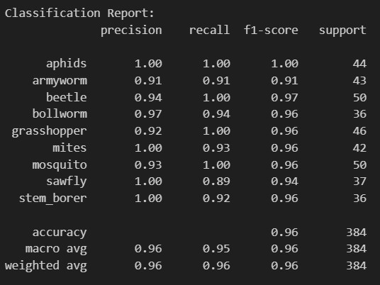 Training Loss Visualization
