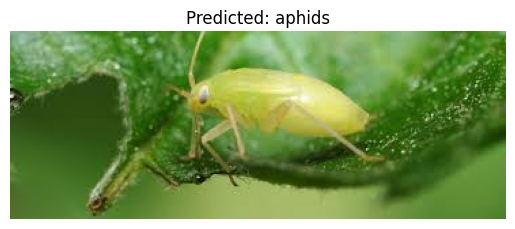 Predicted Species Visualization