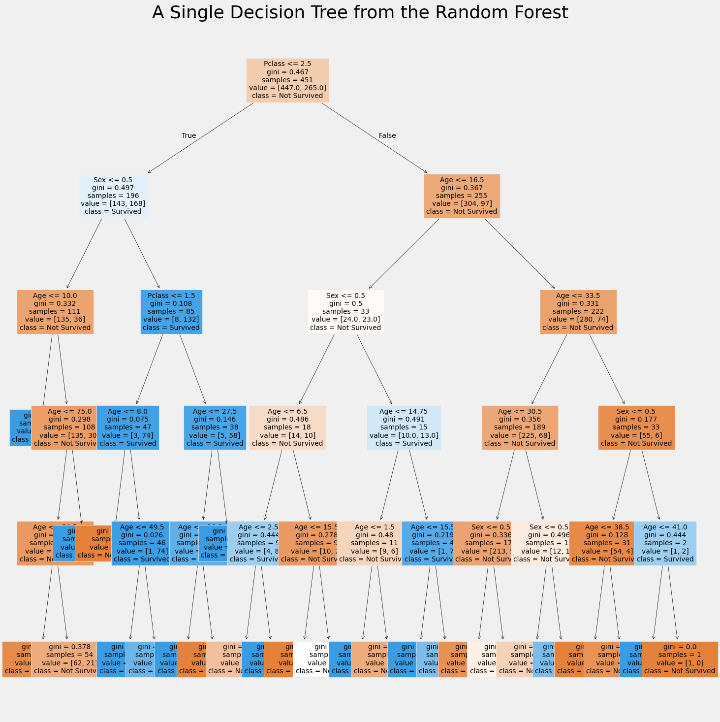 Random Forest Visualization