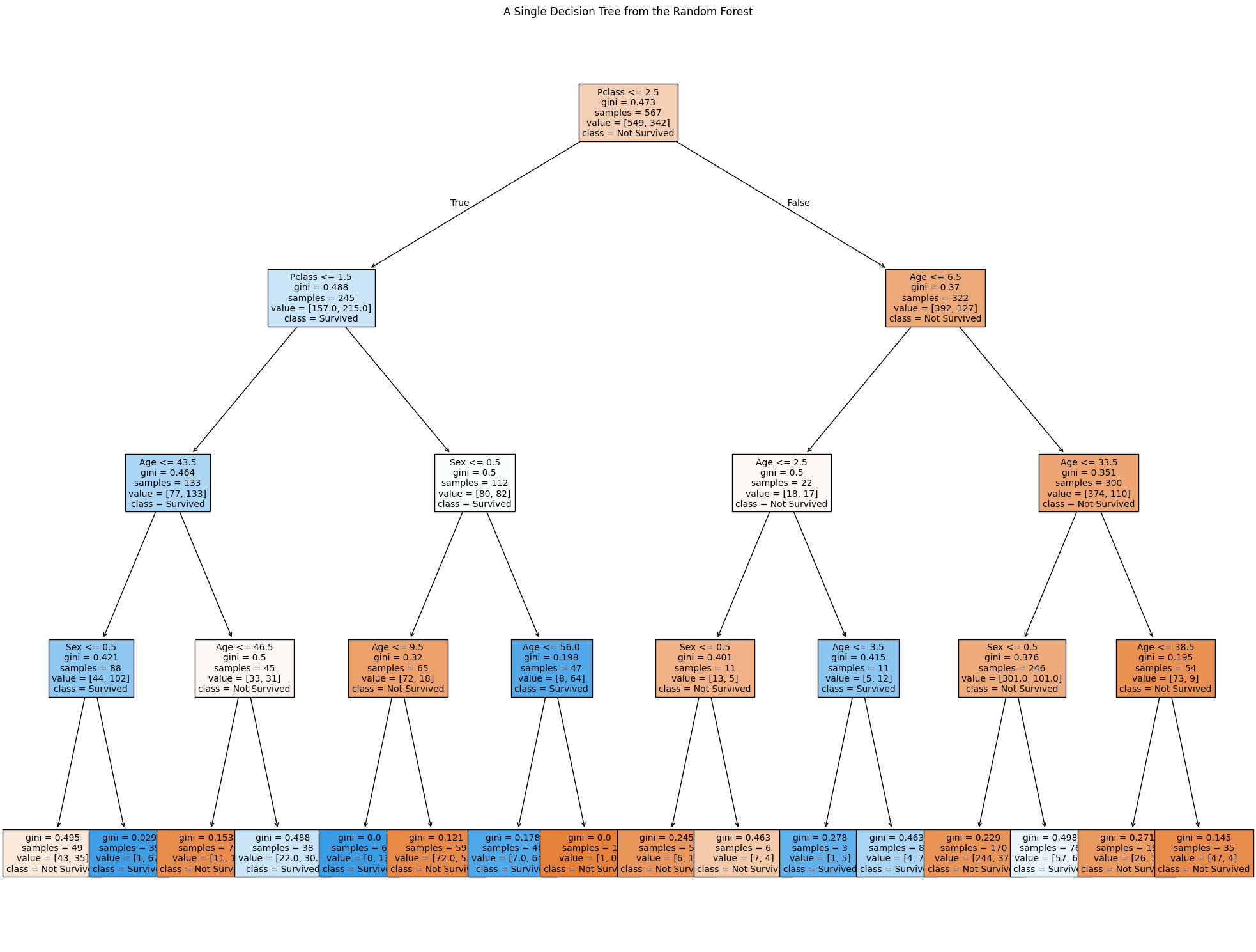 Random Forest Visualization