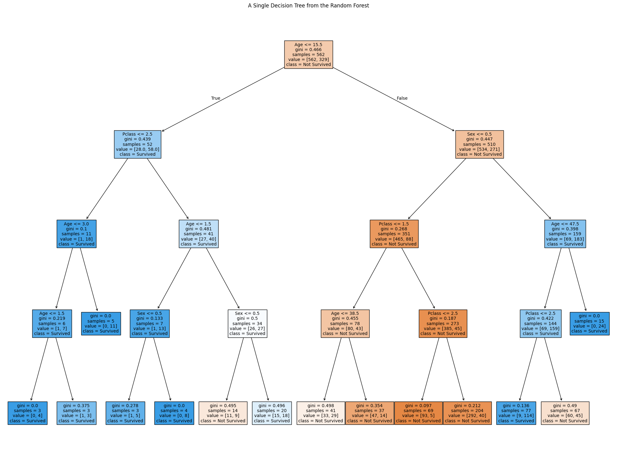 Random Forest Visualization